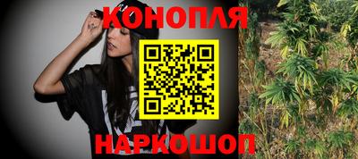 гашик Кунгур