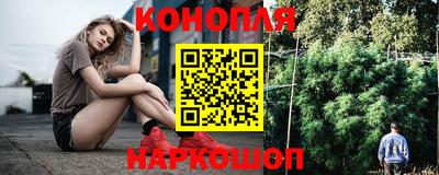 гашик Кунгур