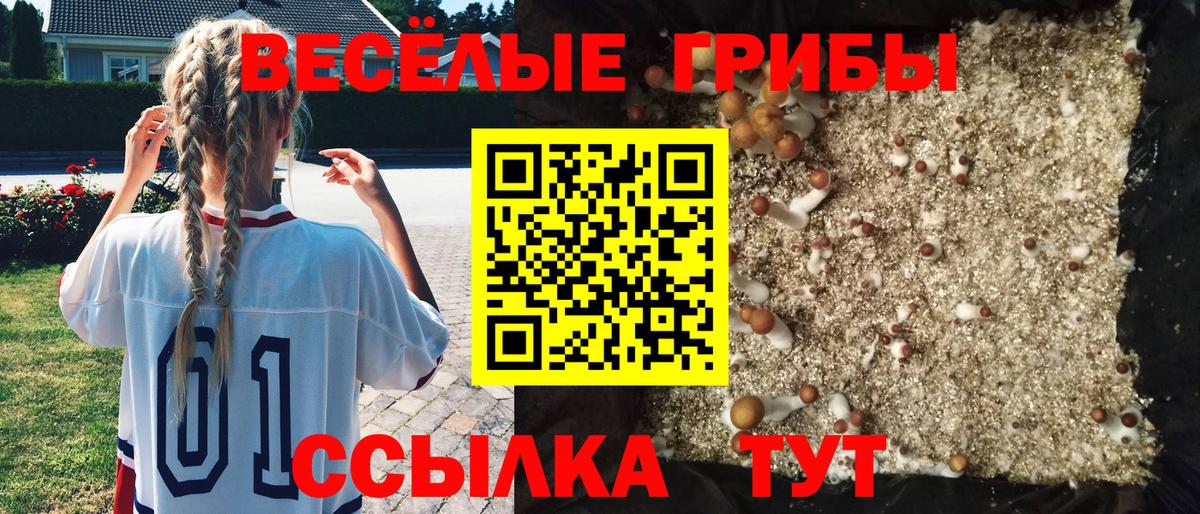 Галлюциногенные грибы прущие грибы Зима