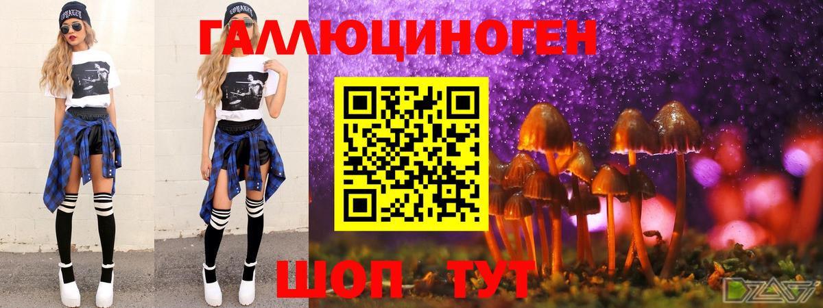 Галлюциногенные грибы мицелий  Вход с VPN  Зима 